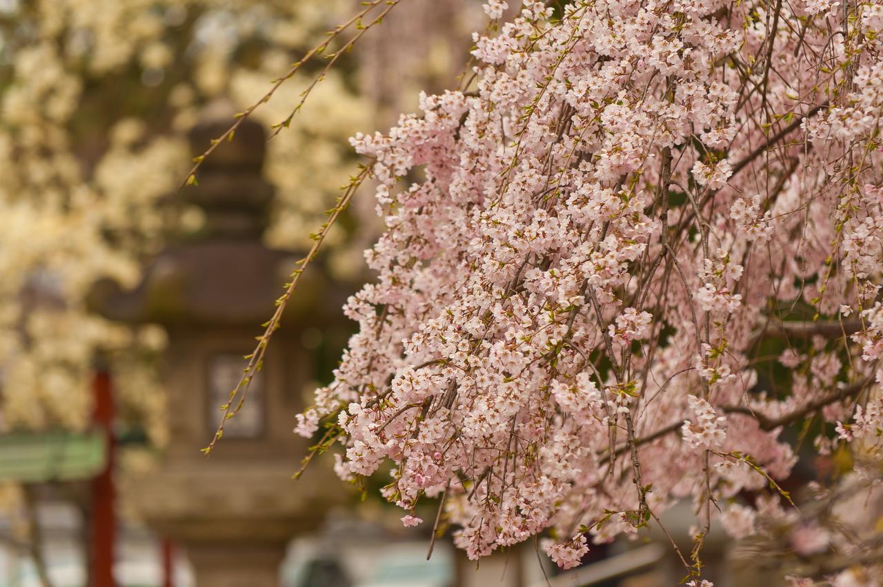 Noborioji Hotel Nara Zewnętrze zdjęcie