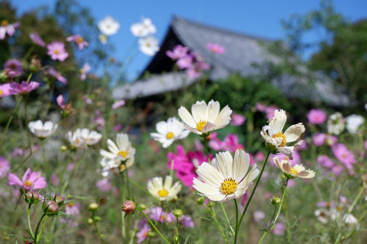 Noborioji Hotel Nara Zewnętrze zdjęcie